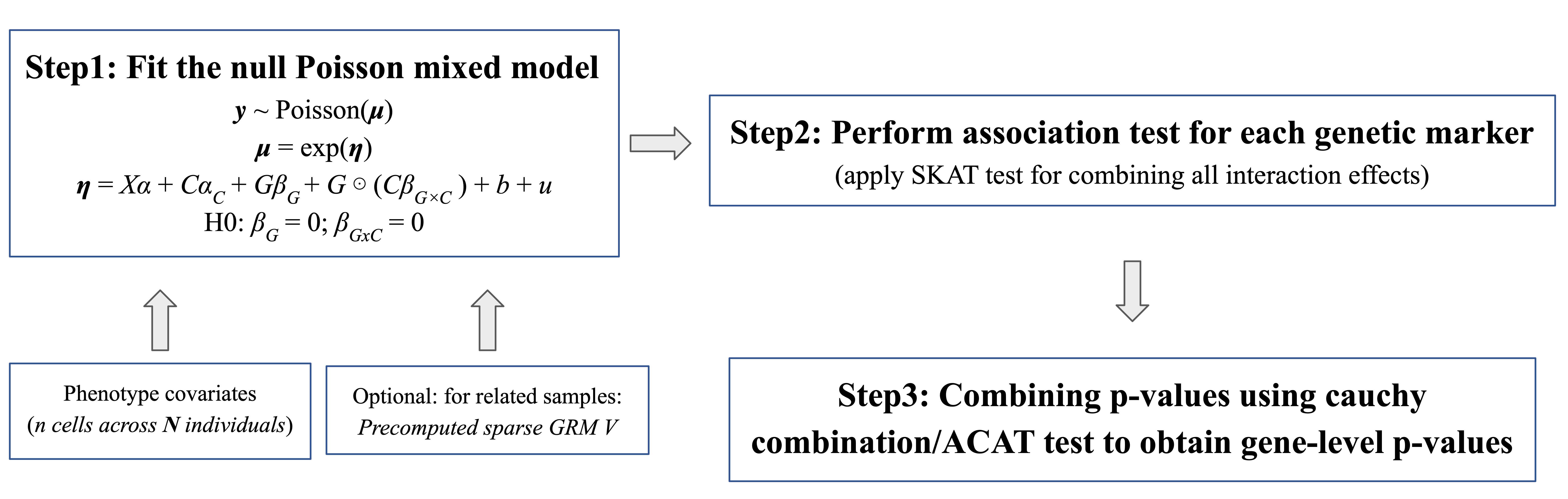 SAIGE-QTL Dynamic workflow overview showing the multi-step analysis pipeline